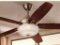 Home Decorators Collection 60 Inch Indoor Ceiling Fan Sudler Ridge LED