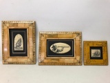 (3) Scrimshaw Nautical Plaques