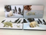 (4) Polar Bear Pictures