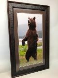 Alaskan Bear Photograph By Patricia Johnson Titled Stand By Me