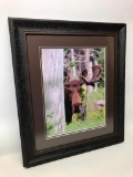 Framed Moose Photograph Titled 'Can You See Me Know?