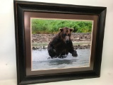 Framed Alaskan Bear Photograph Titled 