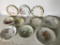 (10) Vintage Porcelain Plates