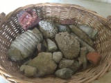 Basket Of Farm Found Fossils & Unusual Rocks
