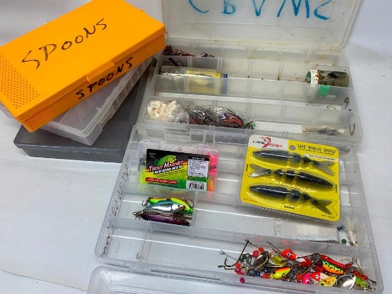 Organizers Marked 'Crawls" & "Shallows" + Empty Organizers, Trout Magnet, & "Live" Magic Shad