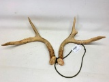 Deer Horn Rattlers