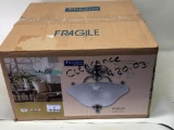 Ceiling Light In Original Box