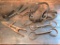 Hand Wrought Items, Horse Bit, and Sheep Shears