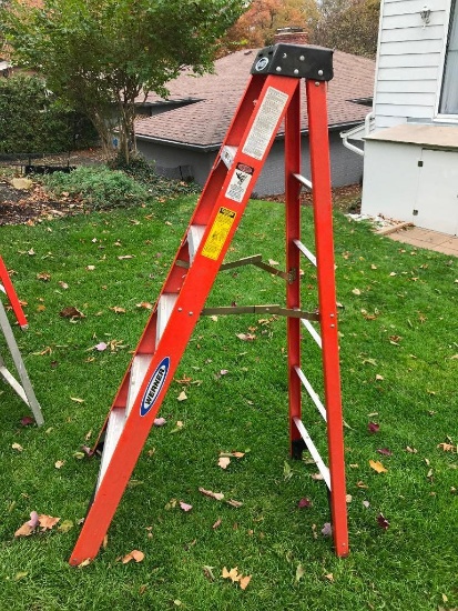 Werner 6 Foot, Fiberglass Step Ladder