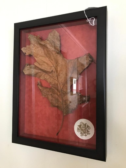Framed Leaf In Shadow-Box Framed