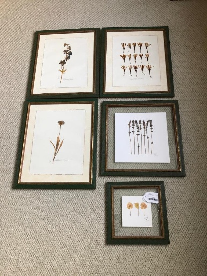Five Framed Plants