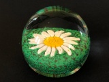 Glass Paperweight W/Daisy Pattern