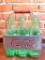 Vintage Aluminum Coca-Cola Carrier W/(6) Coke Bottles