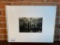 Framed & Matted Photograph Of Palm Trees