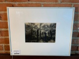 Framed & Matted Photograph Of Palm Trees