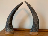 (2) Bison Horns On Stands
