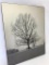 Framed Black & White Photograph Of A Tree