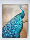 Giclee of Peacock