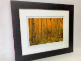 Framed Photograph Signed By Traci Browning