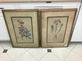 (2) Framed Botanical Pelegrina Prints