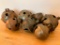 (7) Antique Brass Sleigh Bells