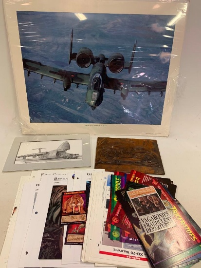 Animal, Airplanes and More Prints and Framed Poster
