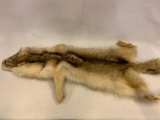 Coyote Fur, Approx. 4' Long