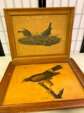 Two Framed Prints of Birds