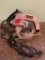 Craftsman 2 1/4HP; 7 1/4