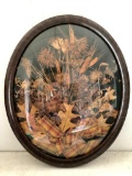 Oval, Framed Dried Flowers by Andrea Parrott, 18