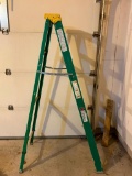 Davidson 6', Fiberglass Step Ladder