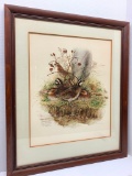 Framed Print By Don Whitlatch, Titled Bobwhite Quail, Oct 1972, Signed and Numbered 1124/1500