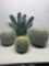 Lot of 4, Plastic, Faux Cacti. The Tallest is 19.5