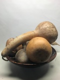 Basket of Gourds. This Item is 21