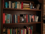 Three Shelves of Books of all Kinds, Mostly Novels