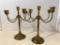 Pair of Brass Candelabras. These are 9.5