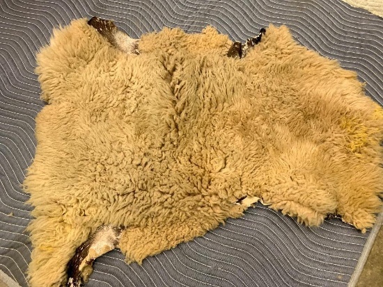 Some Sort of Animal Hide with Some Staining, 45" x 38" at Widest Points