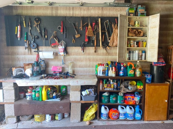 Entire Wall & Shelf Lot AS-IS Incl. Charcoal, Paint, Cleaning Supplies, Tools & More - As Pictured