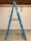 8' Werner Aluminum Ladder