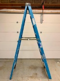 8' Werner Aluminum Ladder