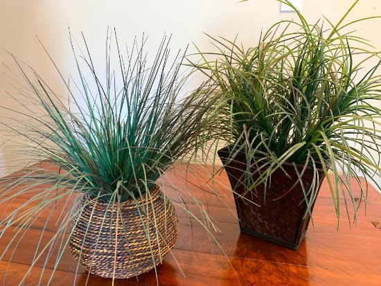 Pair of Forever Living Plants - As Pictured
