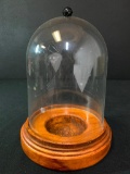 Plastic Globe w/Wood Base Display Case. This is 12