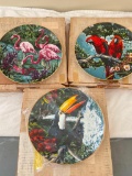 Set of Three Decorative Plates ?The Exotic Birds of Tropics?