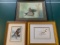 Set of 3 Framed Bird Sketches. The Largest is 16