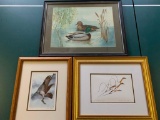 Set of 3 Framed Bird Sketches. The Largest is 16