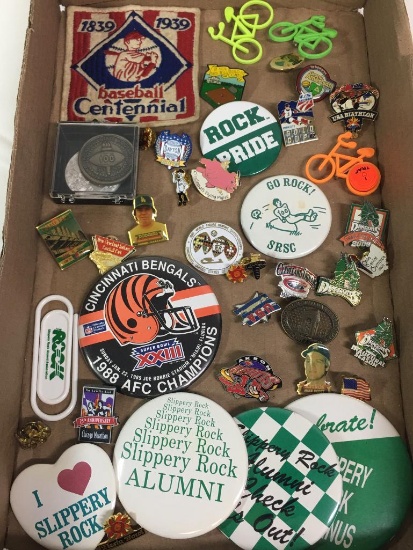 Group of Souvenir Collector Pins