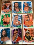 Variety of Wrestling Cards