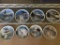 Group of 8 Wolf Collector Plates by The Bradford Exchange