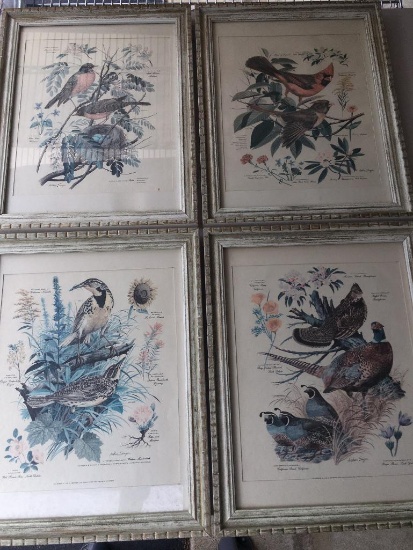 Group 4 1940's Arthur Singer Framed Bird & Botanical Print Collection