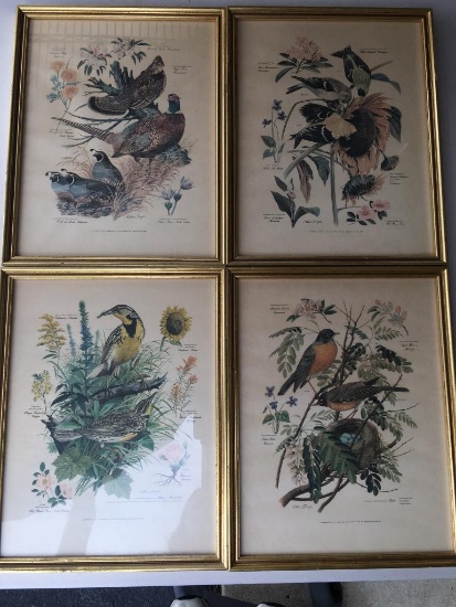 Group of 4 1940's Arthur Singer Framed Bird & Botanical Collection Prints